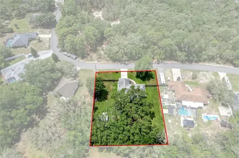 11487 Trumbull Drive Spring Hill FL 34609
