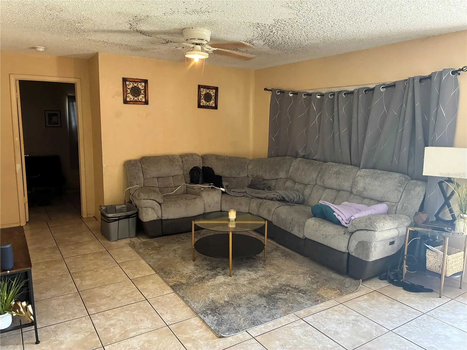 113 S Maryland Avenue Plant City FL 33563