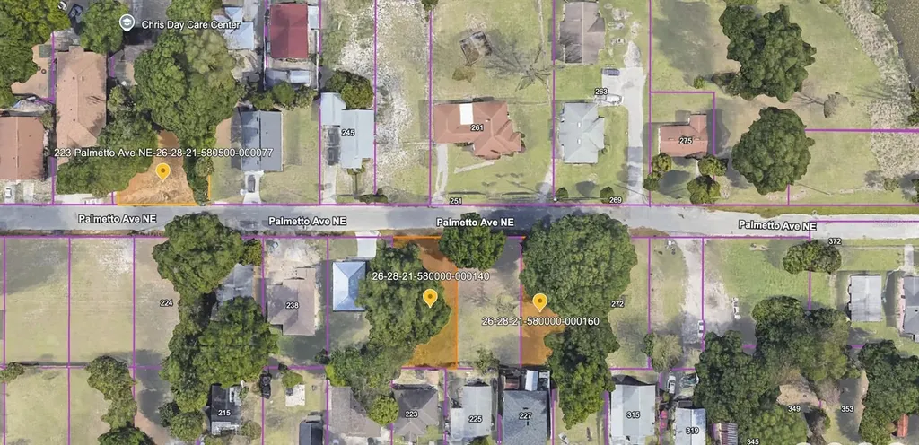 223 Palmetto Avenue NE Winter Haven FL 33881