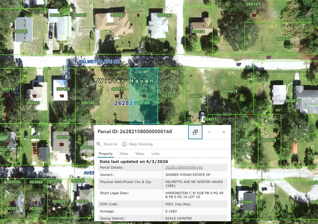 223 Palmetto Avenue NE Winter Haven FL 33881