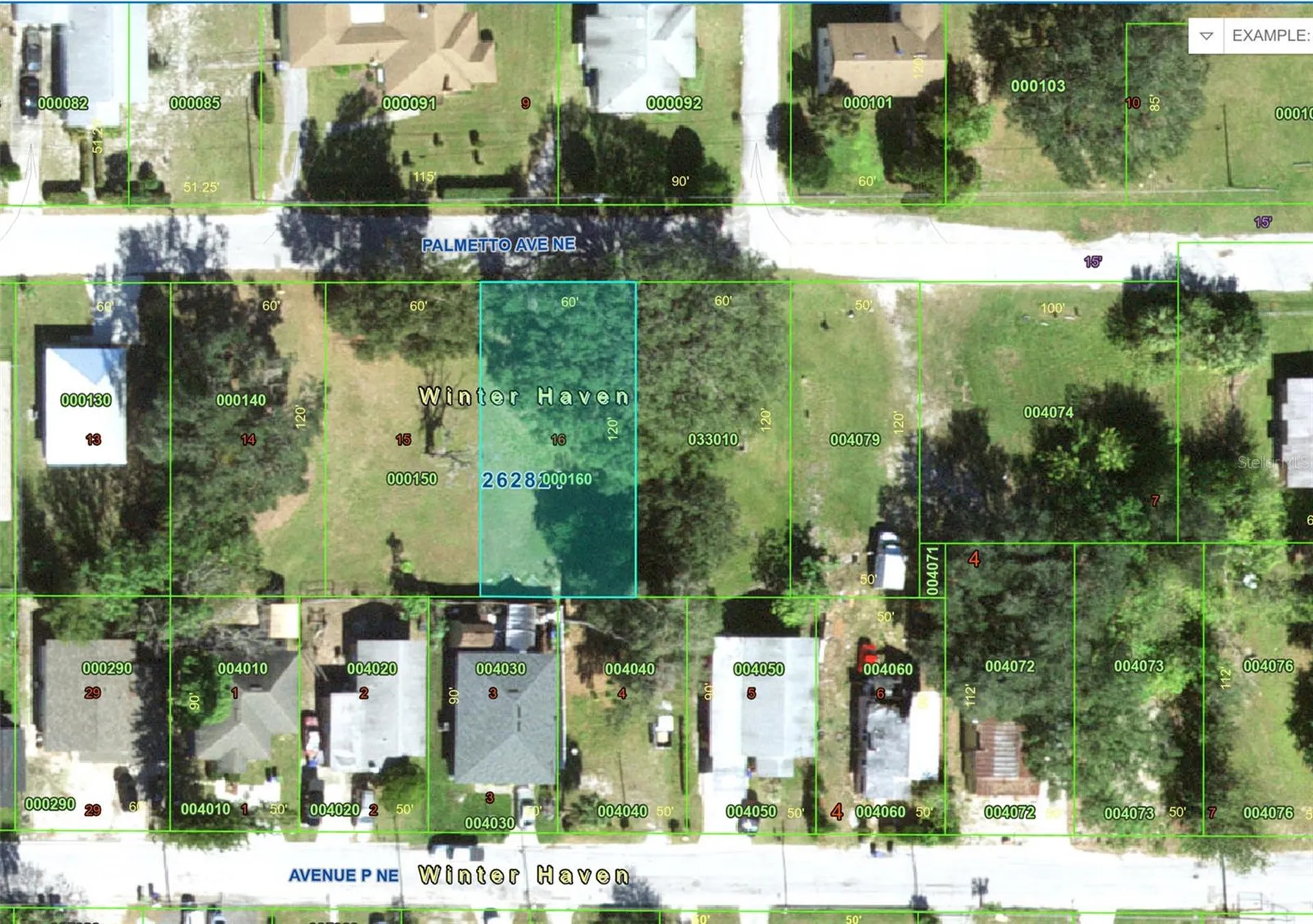 223 Palmetto Avenue NE Winter Haven FL 33881