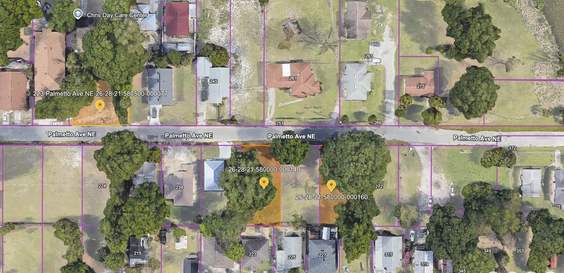 223 Palmetto Avenue NE Winter Haven FL 33881