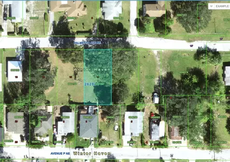 223 Palmetto Avenue NE Winter Haven FL 33881