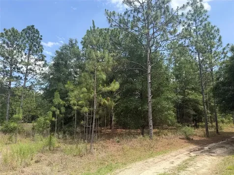 Tbd SW 145th Court Ocala FL 34482