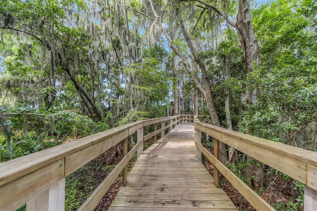3675 Janus Way Palm Harbor FL 34685