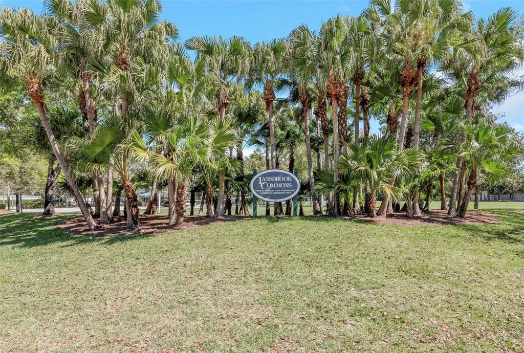 3675 Janus Way Palm Harbor FL 34685