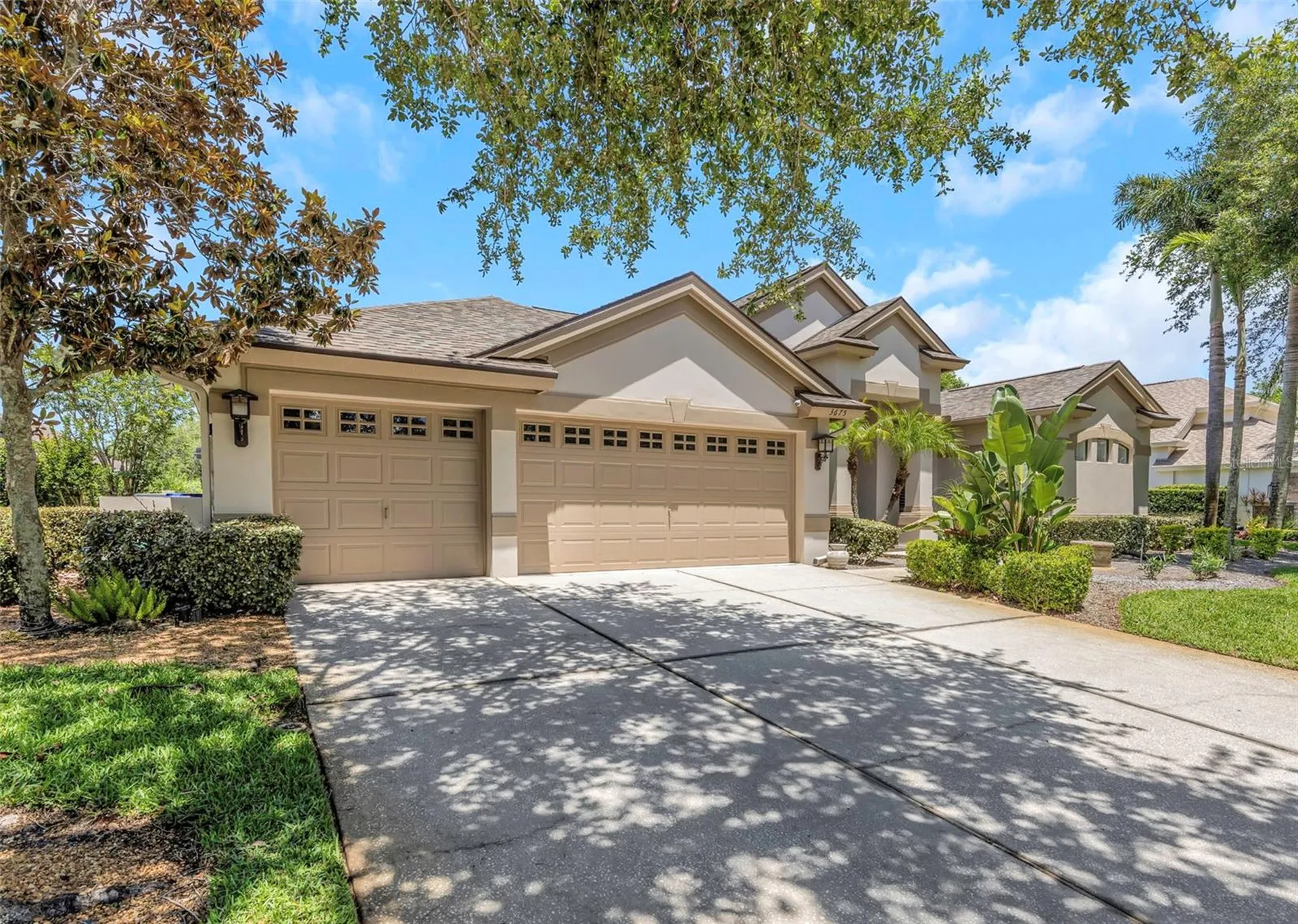 3675 Janus Way Palm Harbor FL 34685