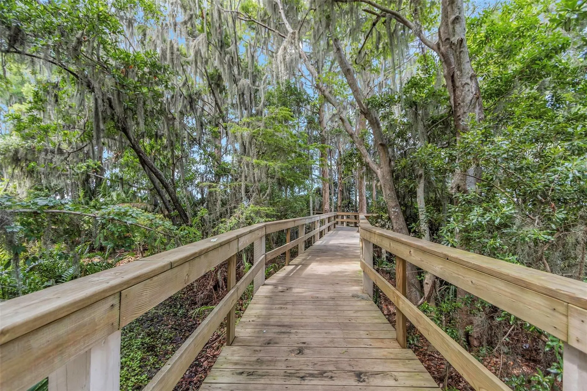 3675 Janus Way Palm Harbor FL 34685