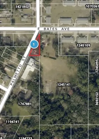503 Palmetto Street Eustis FL 32726
