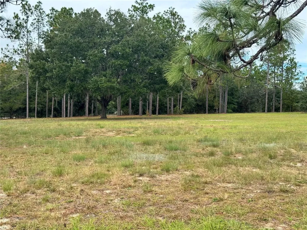 4551 NE 132nd Court Williston FL 32696