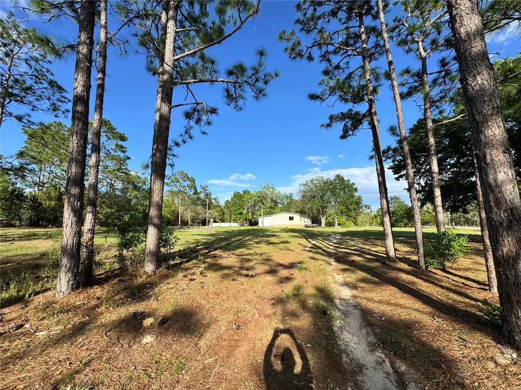 4551 NE 132nd Court Williston FL 32696