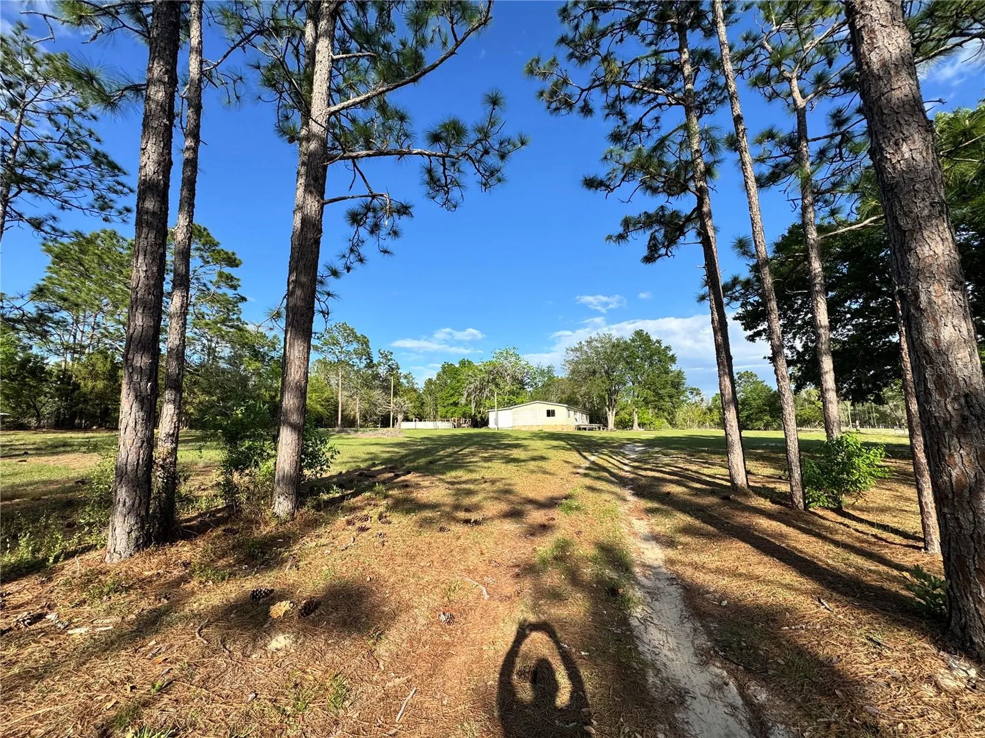 4551 NE 132nd Court Williston FL 32696