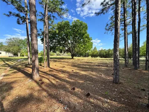 4551 NE 132nd Court Williston FL 32696