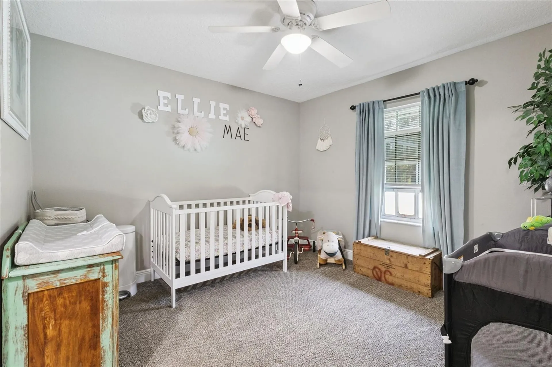 37911 Felkins Road Leesburg FL 34788