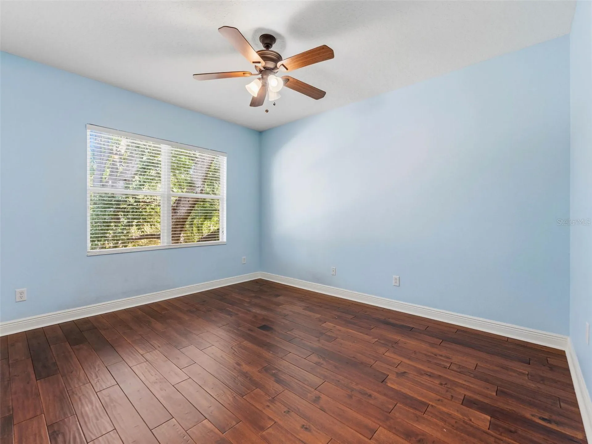 3203 Lake Green Court Tampa FL 33611