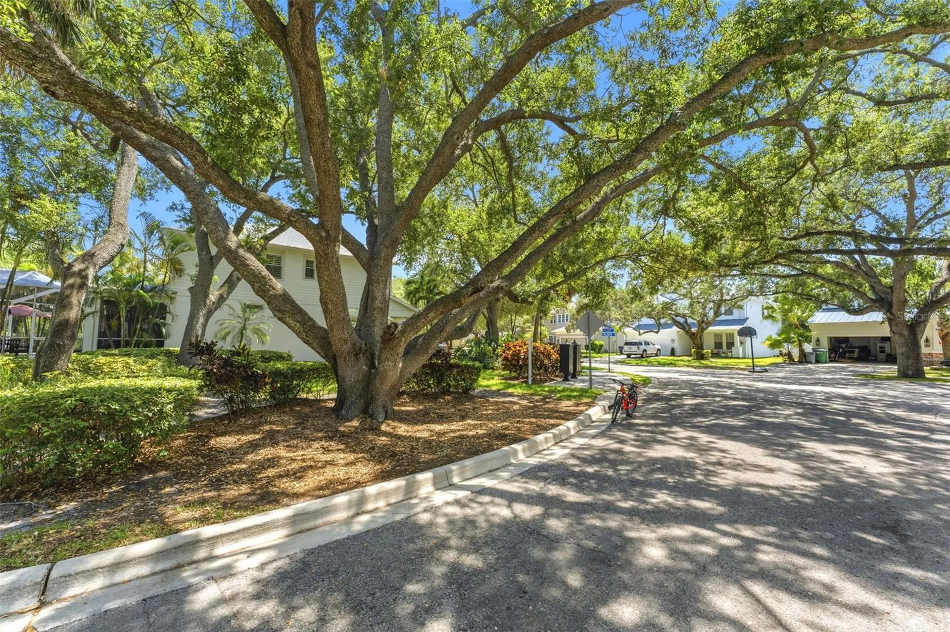 3203 Lake Green Court Tampa FL 33611