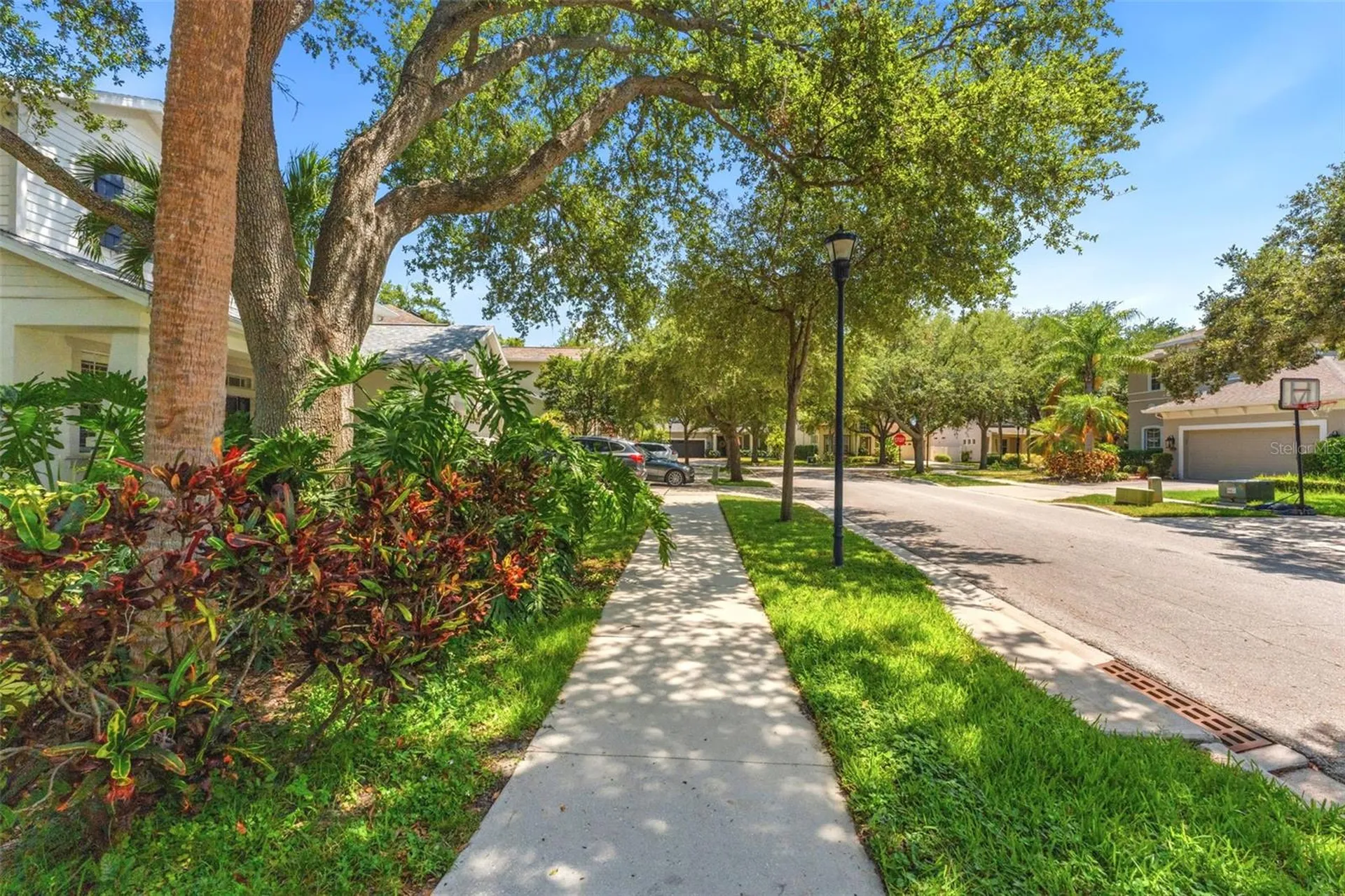 3203 Lake Green Court Tampa FL 33611
