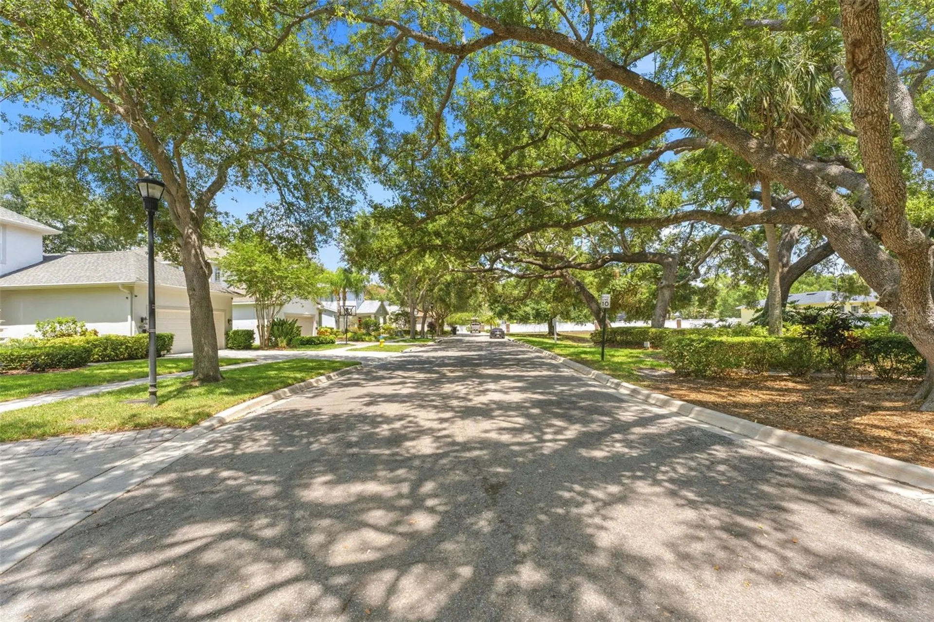 3203 Lake Green Court Tampa FL 33611