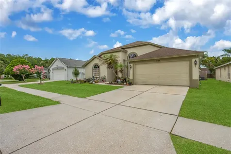 18140 Palm Breeze Drive Tampa FL 33647