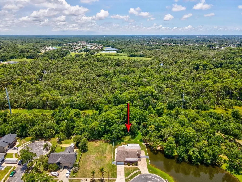 5904 Springrun Court Holiday FL 34690