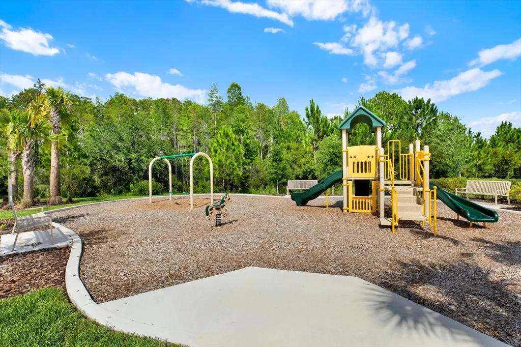 32332 Rosepine Boulevard Wesley Chapel FL 33543