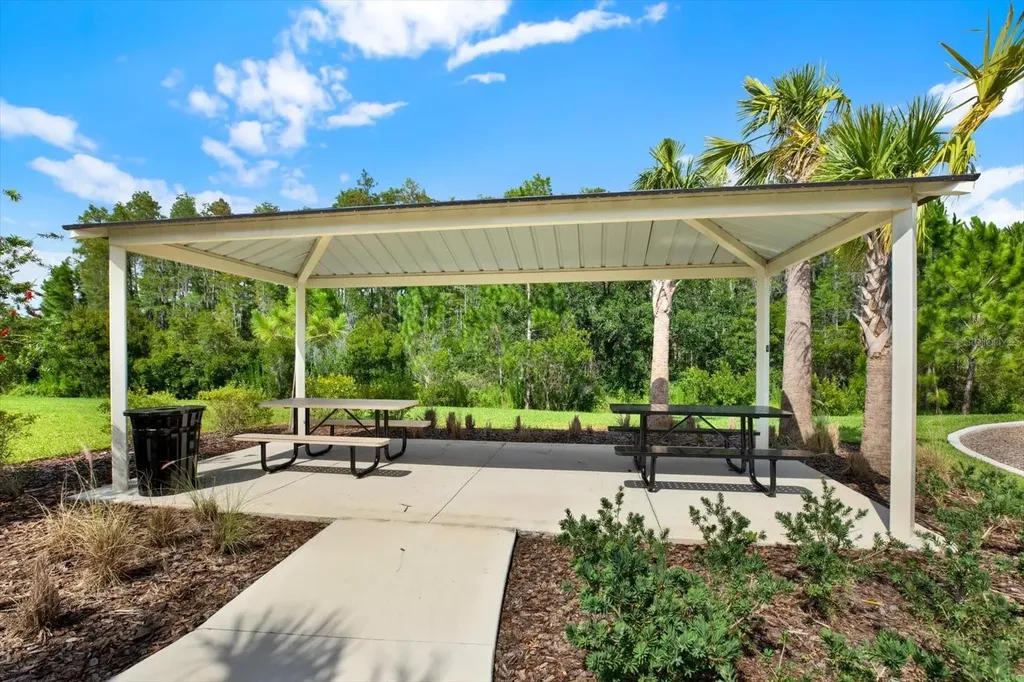 32332 Rosepine Boulevard Wesley Chapel FL 33543