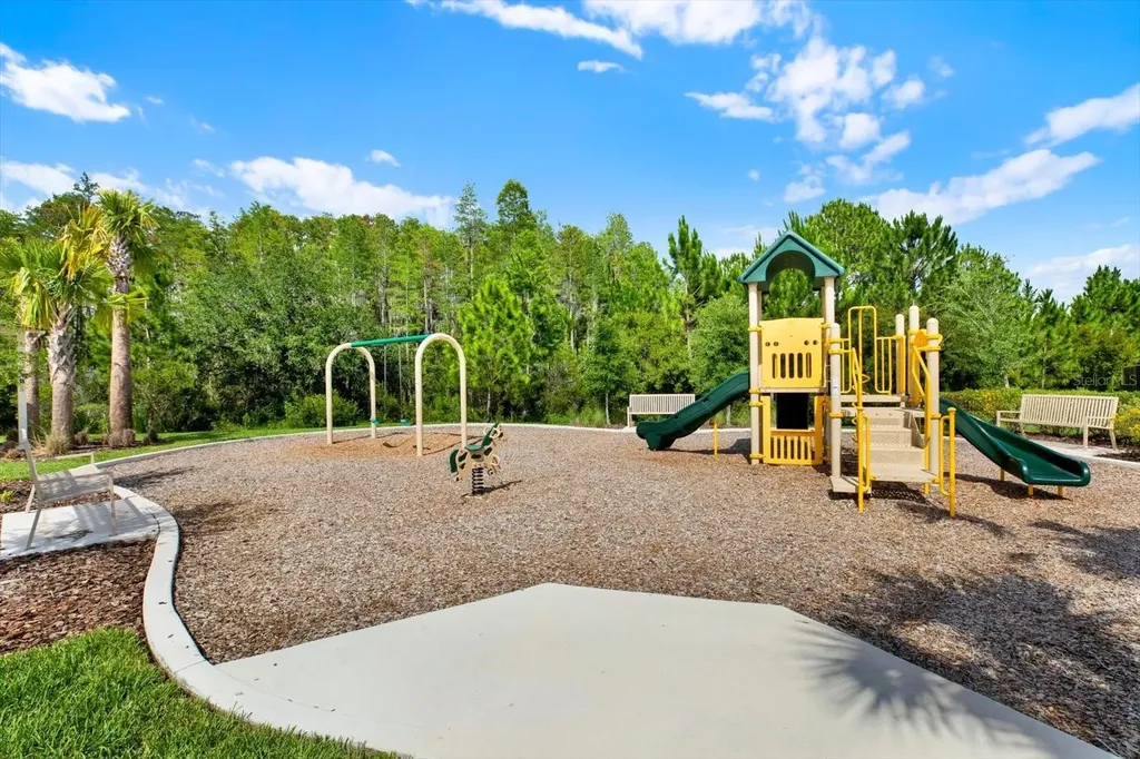 32332 Rosepine Boulevard Wesley Chapel FL 33543
