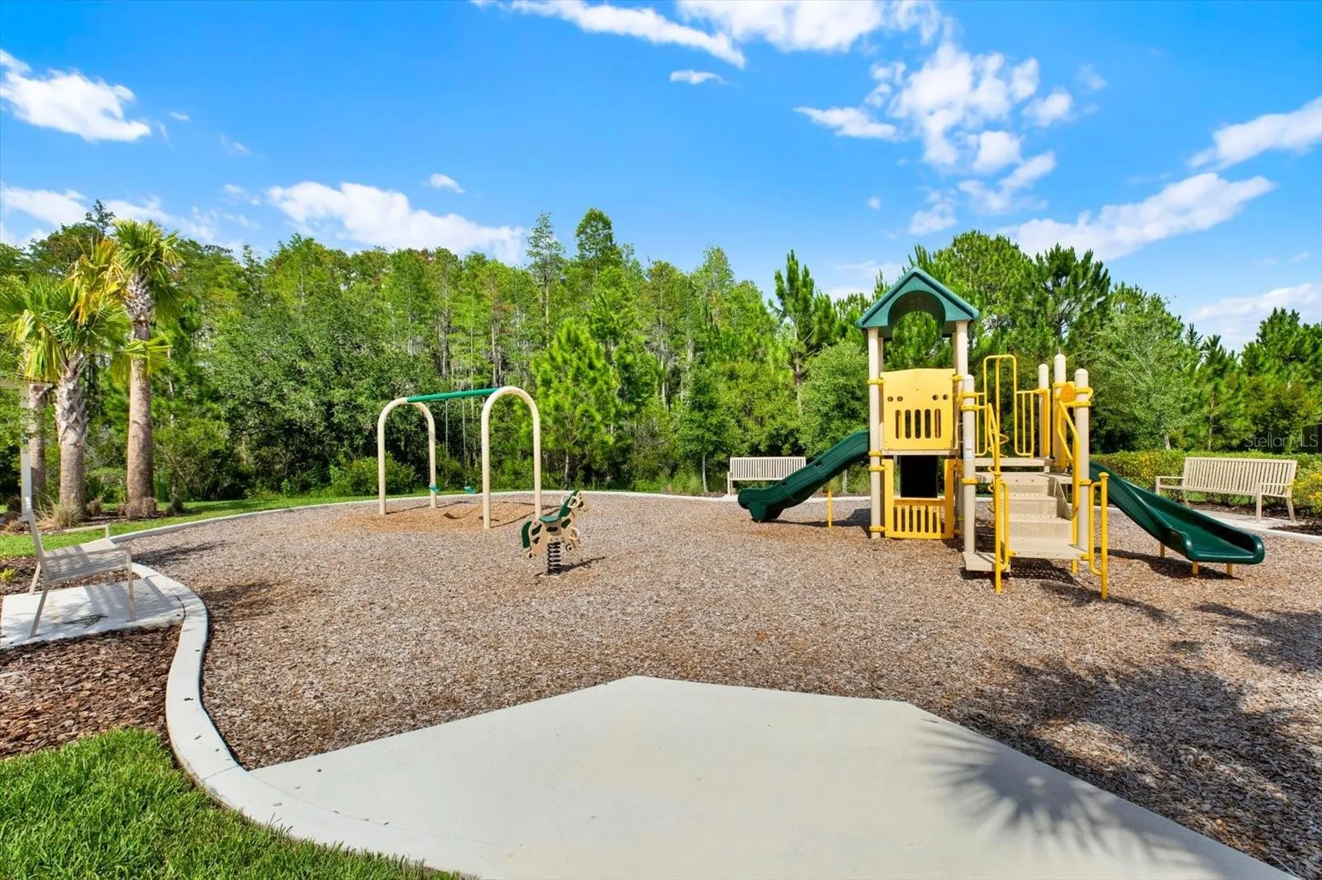 32332 Rosepine Boulevard Wesley Chapel FL 33543