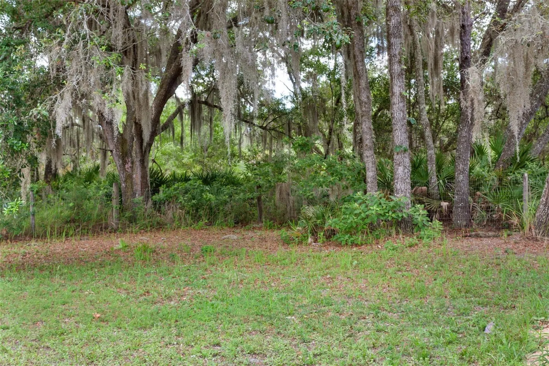 12174 W Fig Tree Lane Crystal River FL 34428