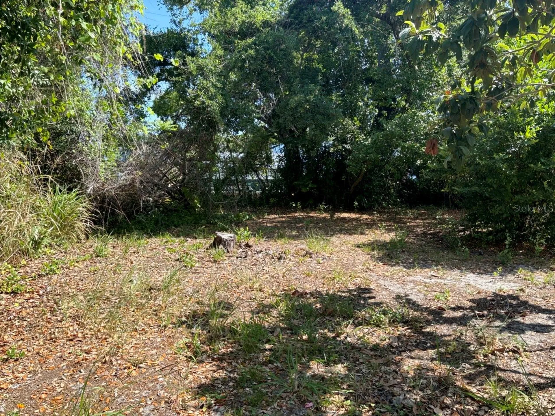 1580 Oak Village Drive Largo FL 33778