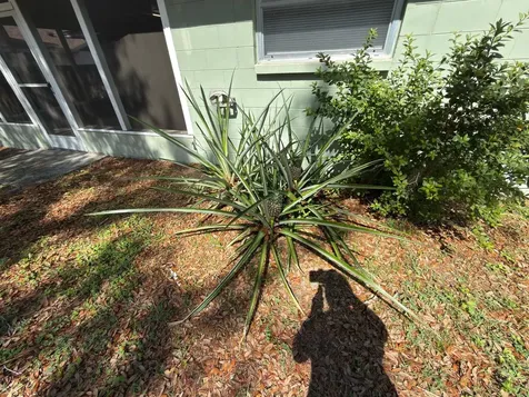 2209 Boxwood Way Brandon FL 33511