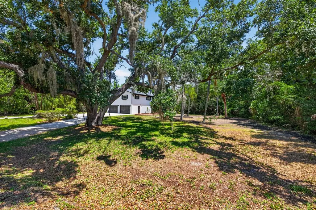 1007 State Street E Oldsmar FL 34677