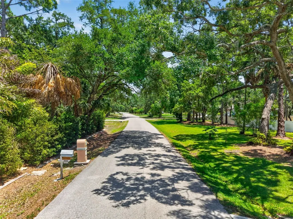 1007 State Street E Oldsmar FL 34677