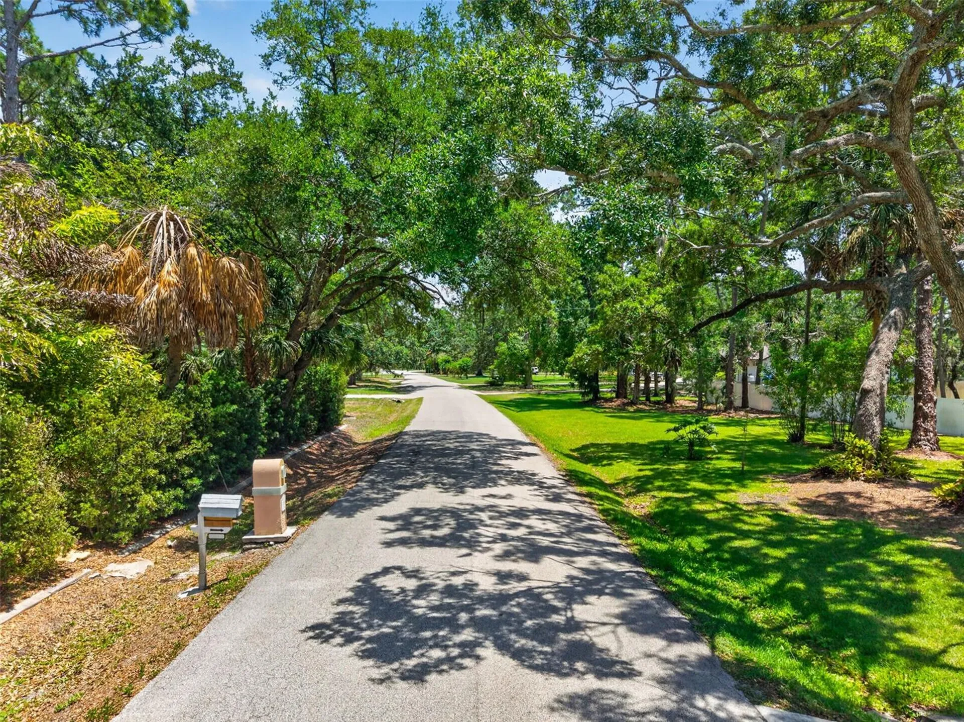 1007 State Street E Oldsmar FL 34677