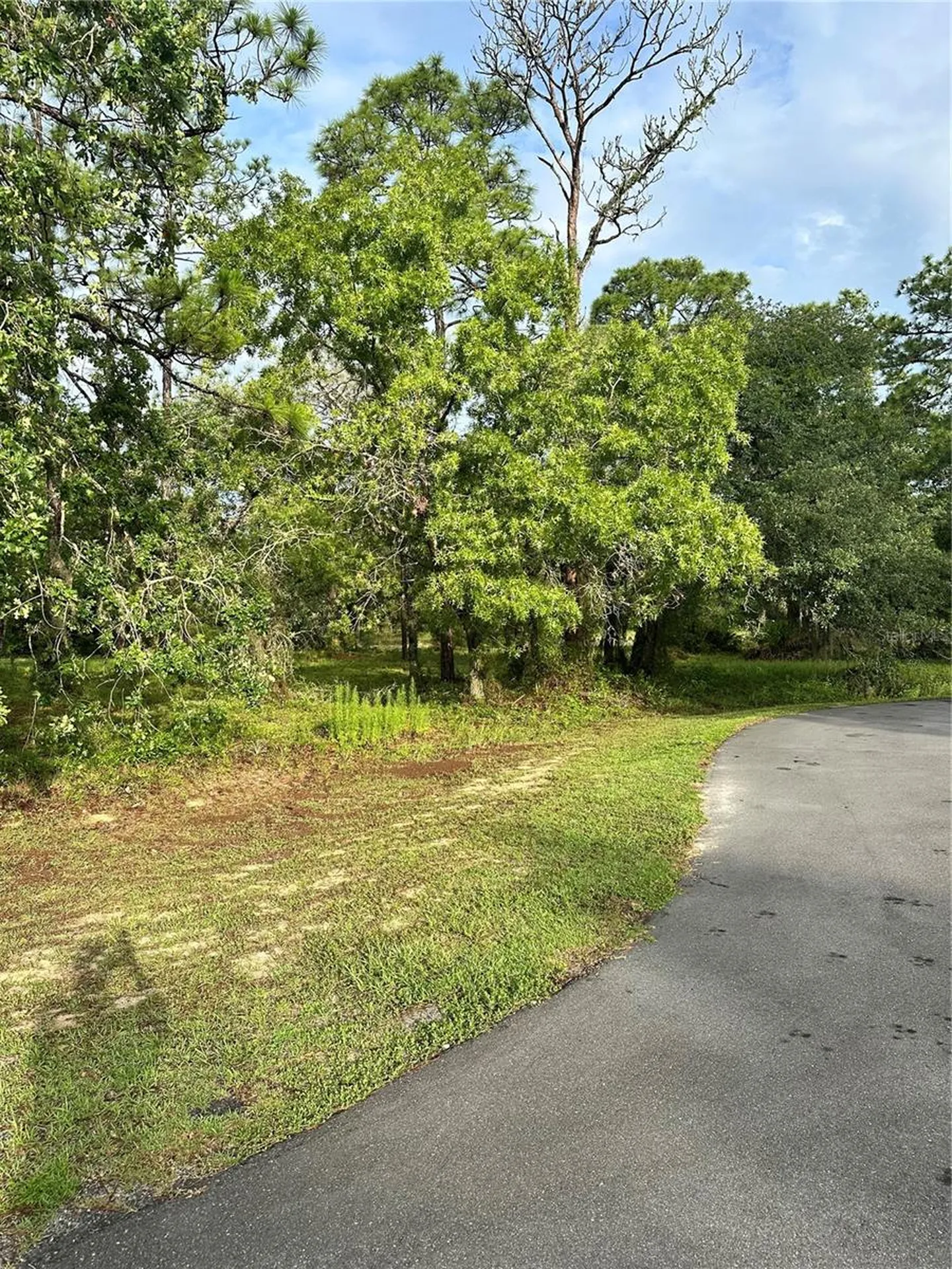 2 Barkwood Point Homosassa FL 34446