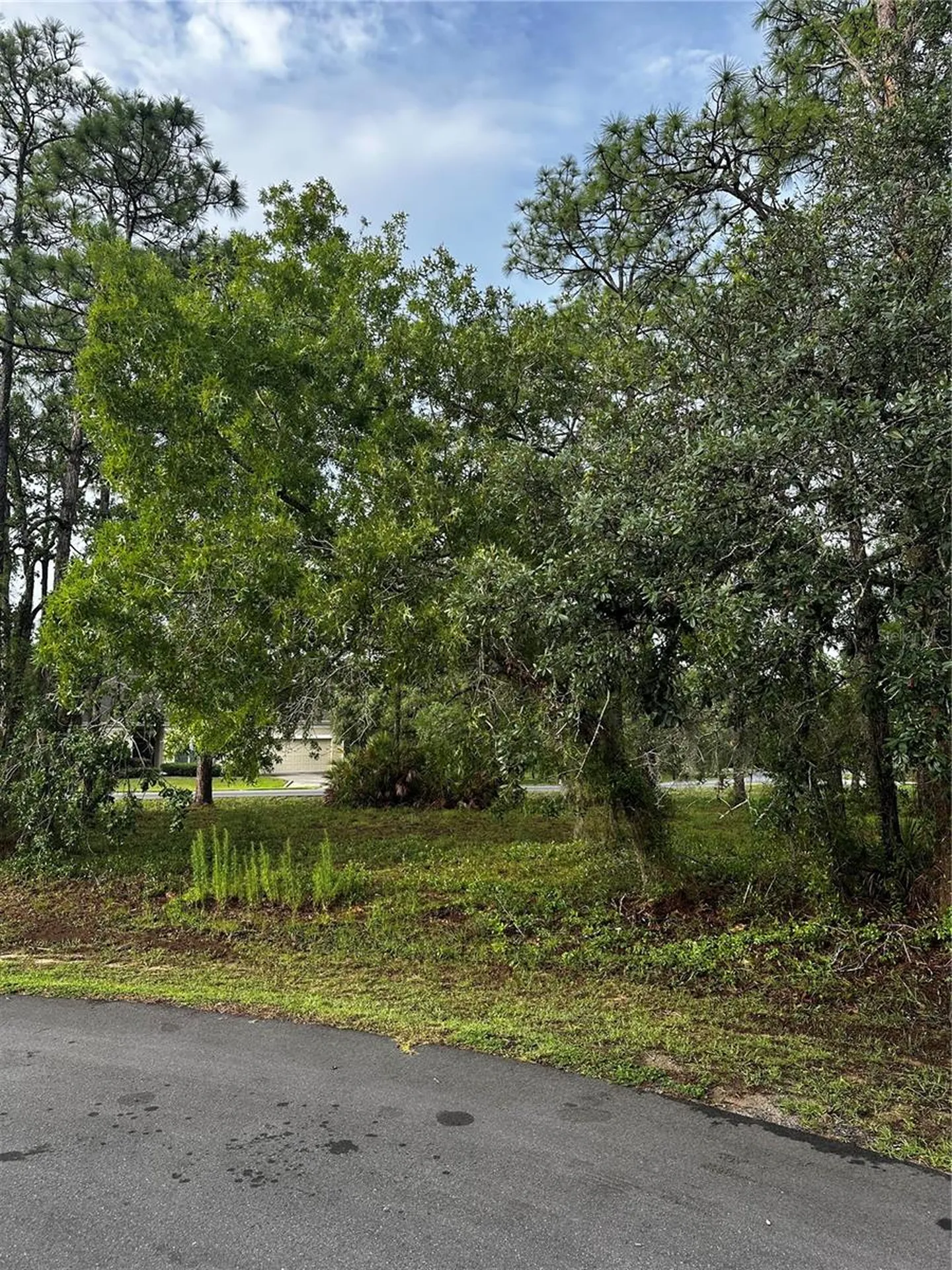 2 Barkwood Point Homosassa FL 34446
