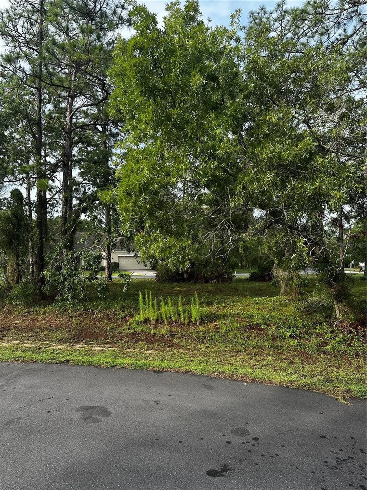 2 Barkwood Point Homosassa FL 34446