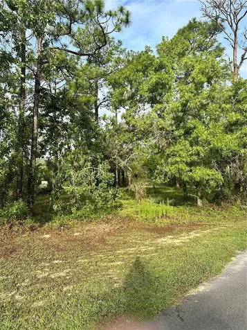2 Barkwood Point Homosassa FL 34446