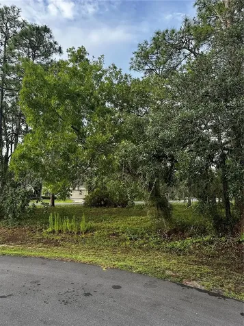 2 Barkwood Point Homosassa FL 34446