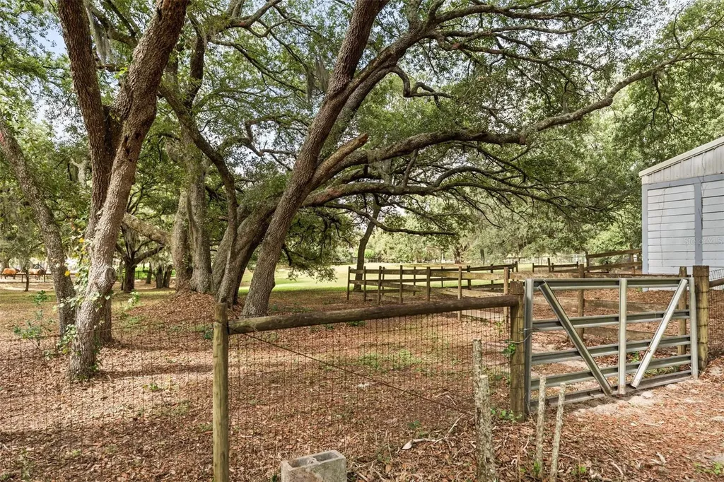 16104 Sandhill Road Winter Garden FL 34787