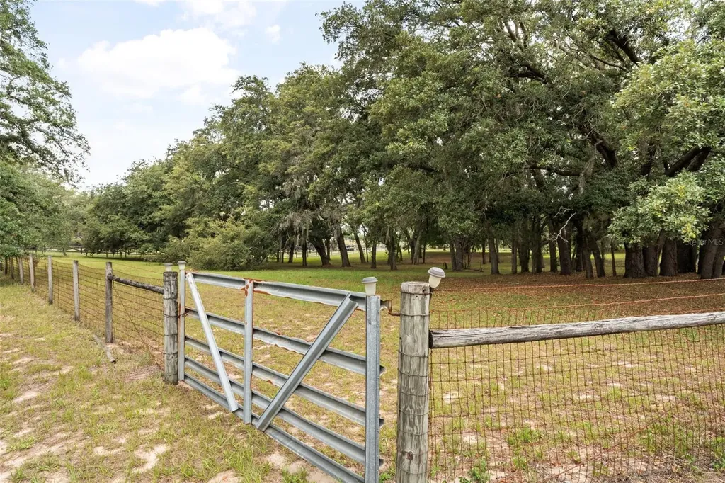 16104 Sandhill Road Winter Garden FL 34787