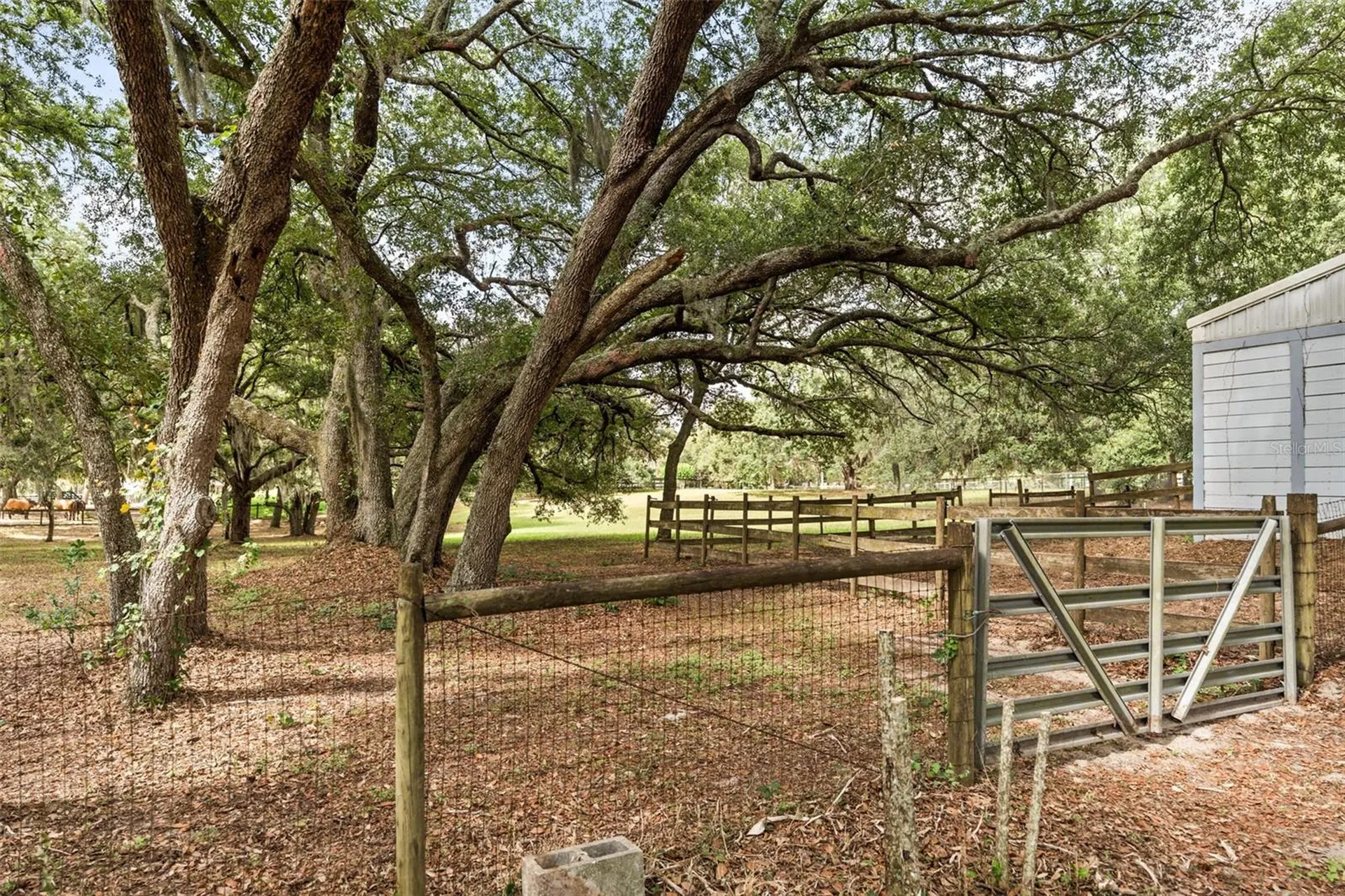 16104 Sandhill Road Winter Garden FL 34787
