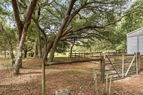 16104 Sandhill Road Winter Garden FL 34787