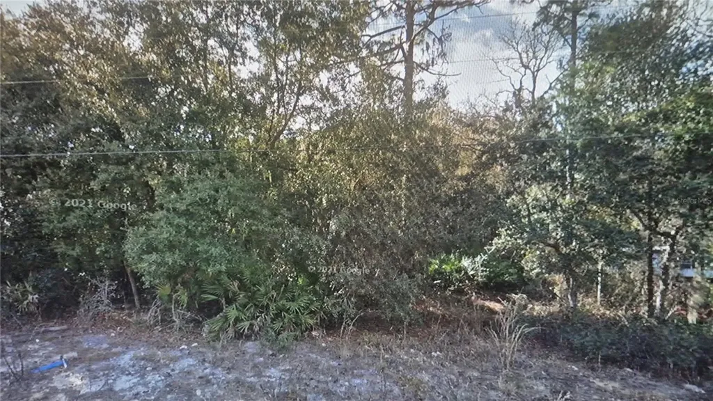 103 George Way Interlachen FL 32148