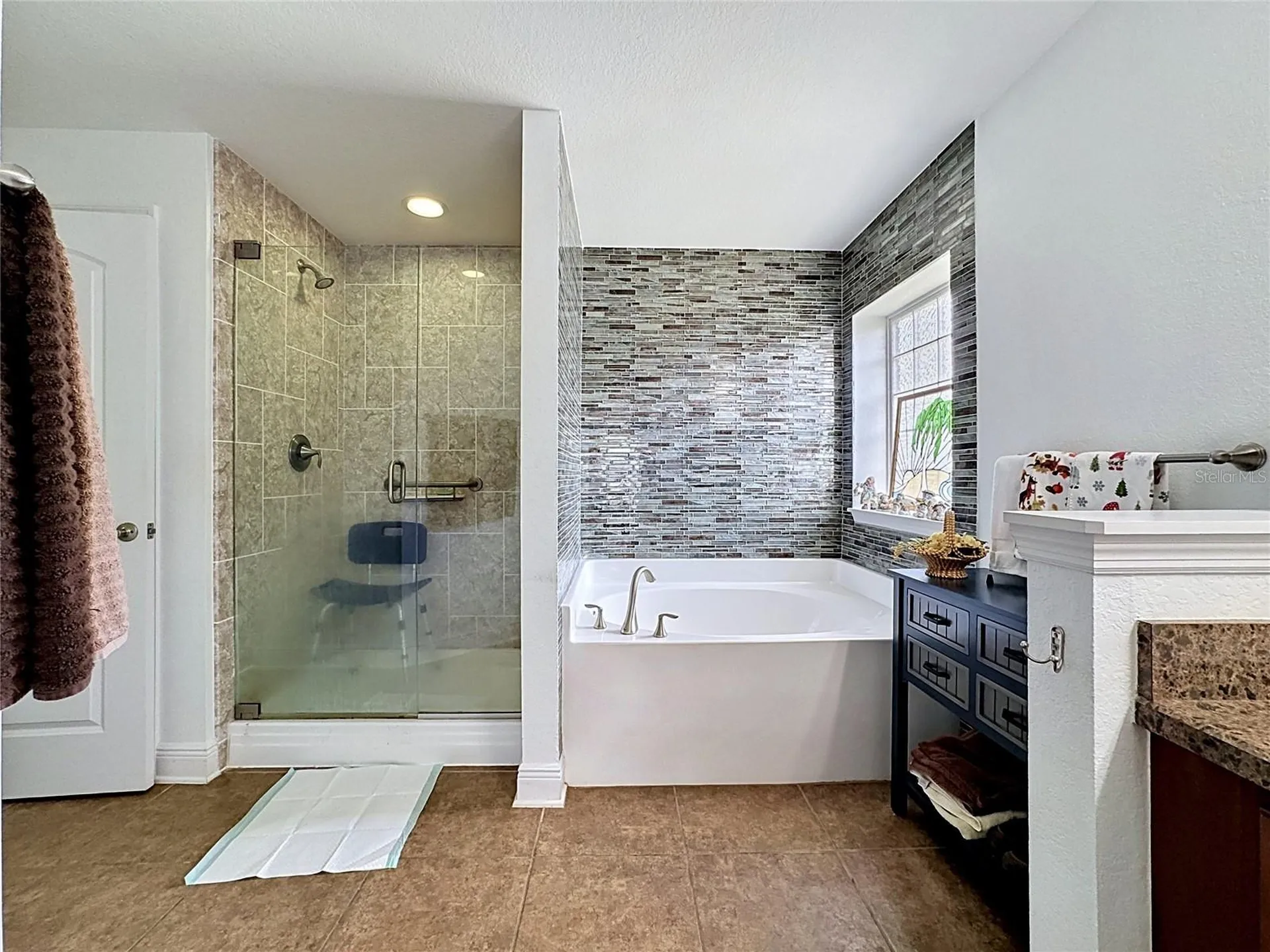 10821 Standing Stone Drive Wimauma FL 33598