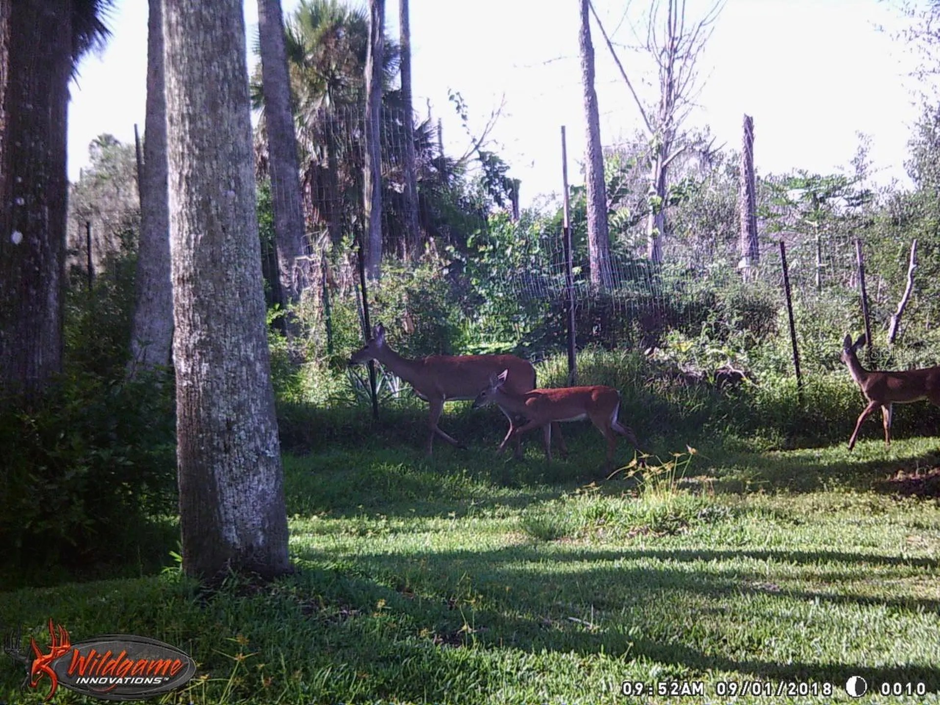 165 Willow Oak Way Palm Coast FL 32137