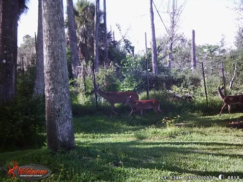 165 Willow Oak Way Palm Coast FL 32137