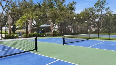 14026 Ginnie Springs Way Parrish FL 34219
