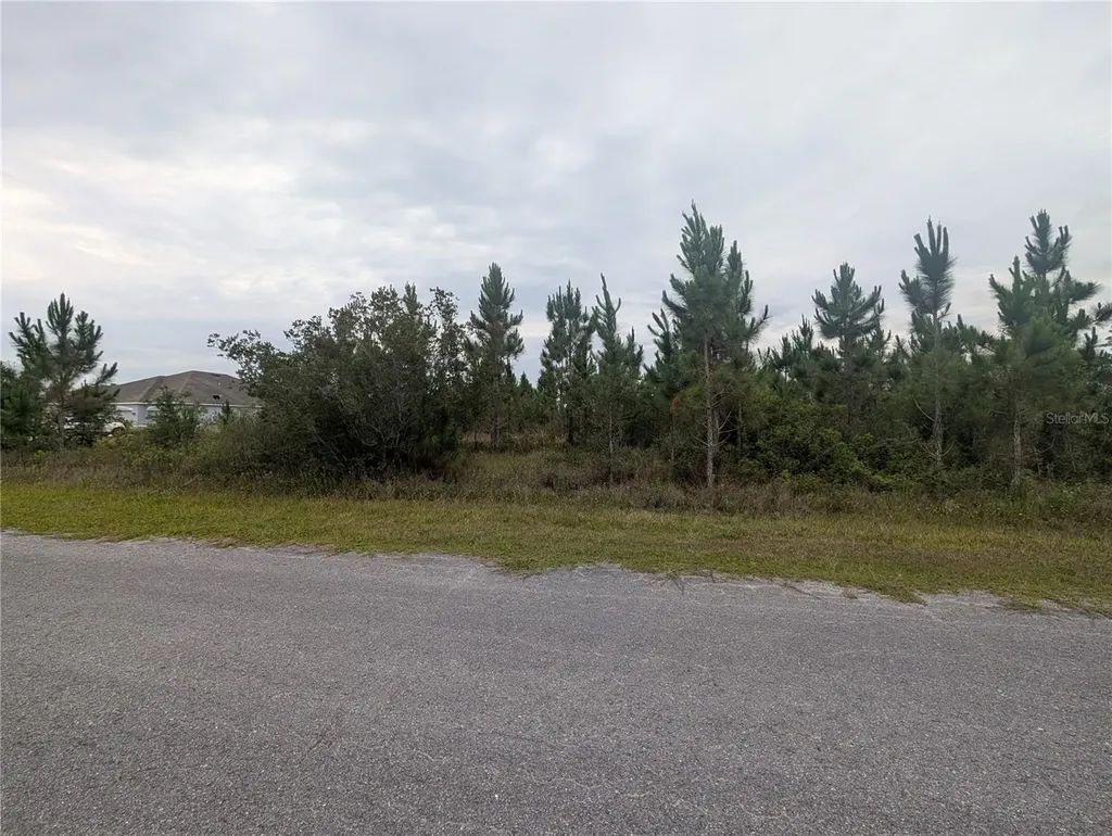221 Tropicana Drive Indian Lake Estates FL 33855
