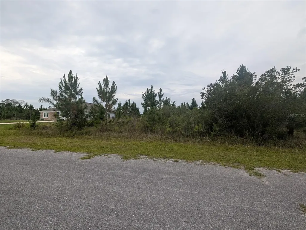 221 Tropicana Drive Indian Lake Estates FL 33855